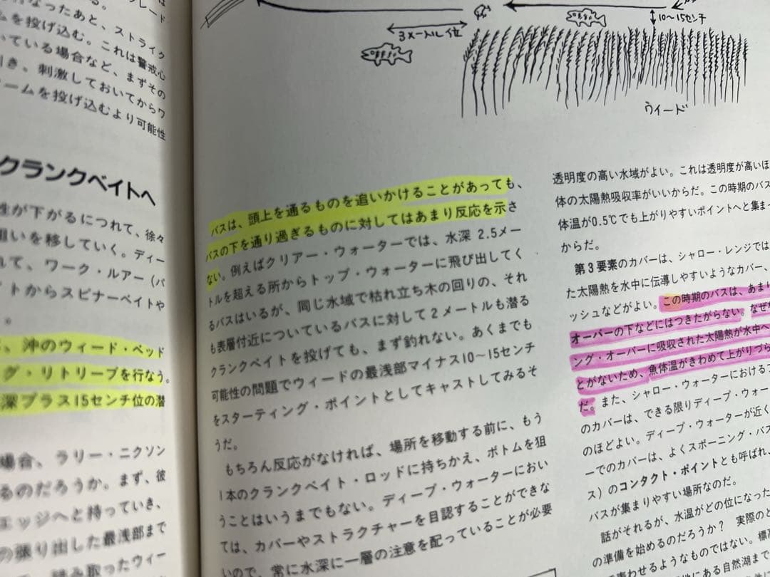 ヒロ内藤 バスプロのスーパー・バッシング 内藤裕文 内藤裕文 バスプロ