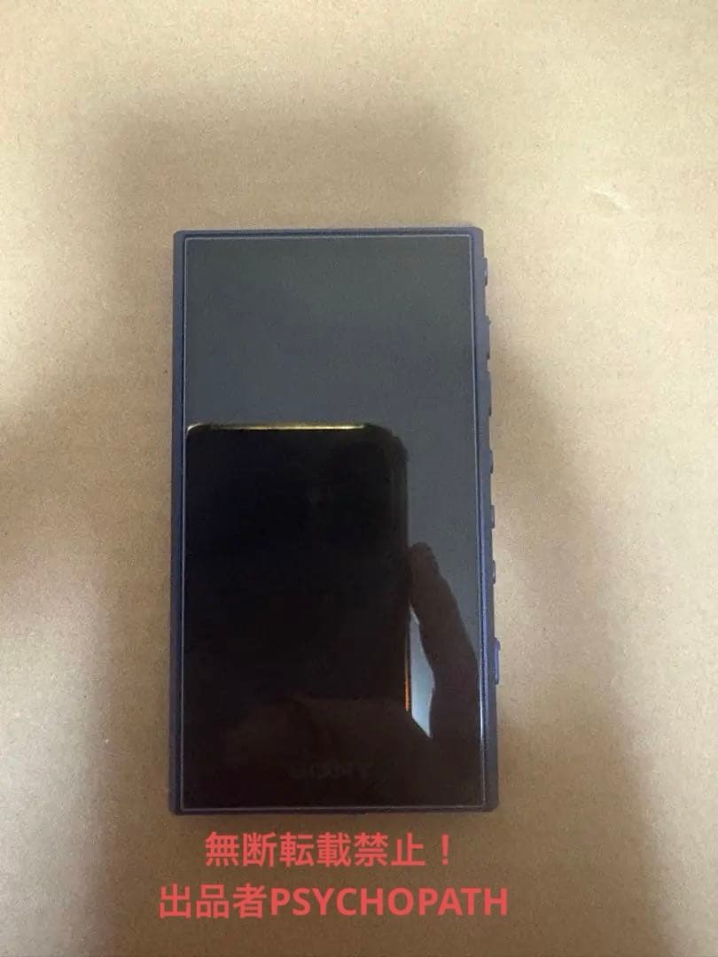 SONY NW-A307 64GB フィルム・SanDisk SD256GB付 - メルカリ