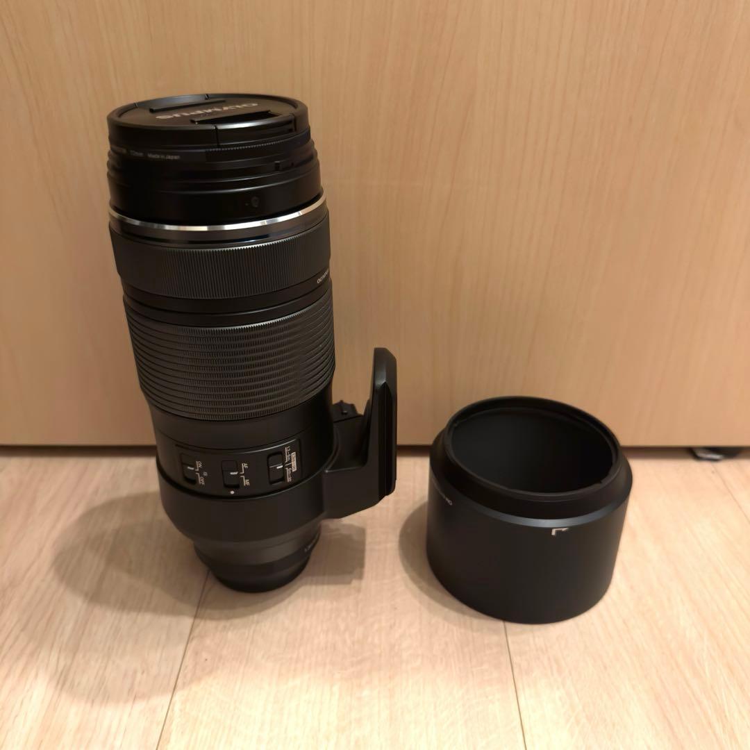 【ふみ】OLYMPUS M.ZUIKO 100-400mm IS Olympus M.Zuiko Digital ED 100-400mm f/5.6-6.3 IS Review | ePHOTOzine
