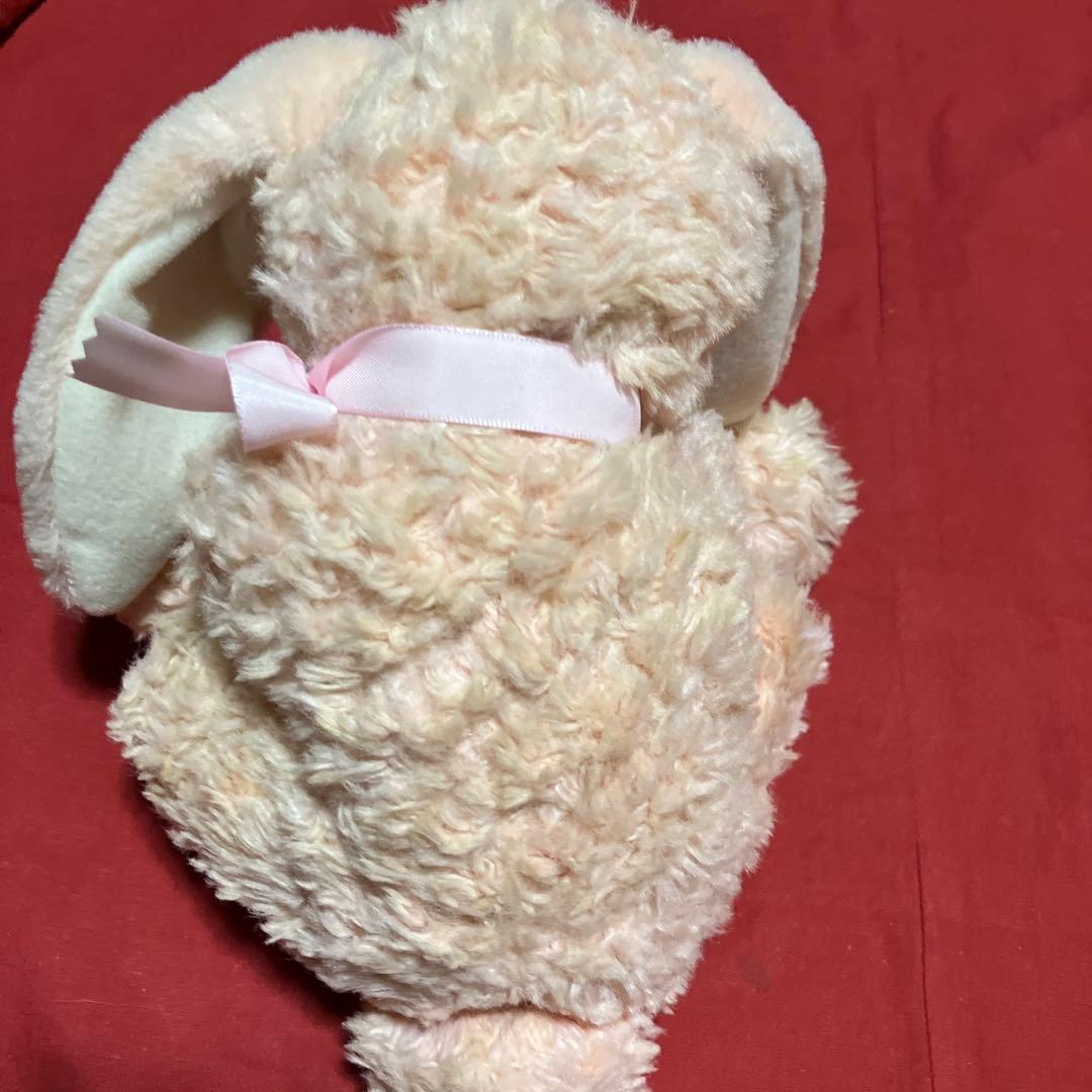 COMO ＆RAYコモ＆レイぬいぐるみ ウサギ ぬいぐるみ ロップイヤー