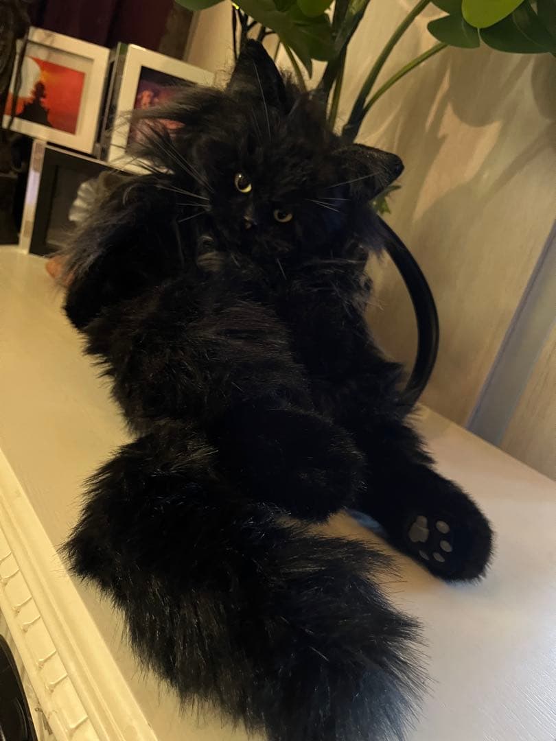 黒猫 ぬいぐるみ 等身大 リュック - メルカリ