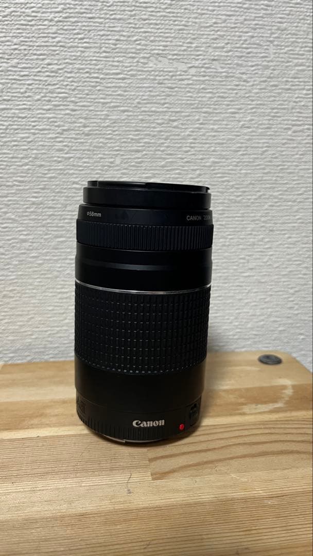 レンズ(ズーム) Canon EF 75-300mm f/4-5.6 III