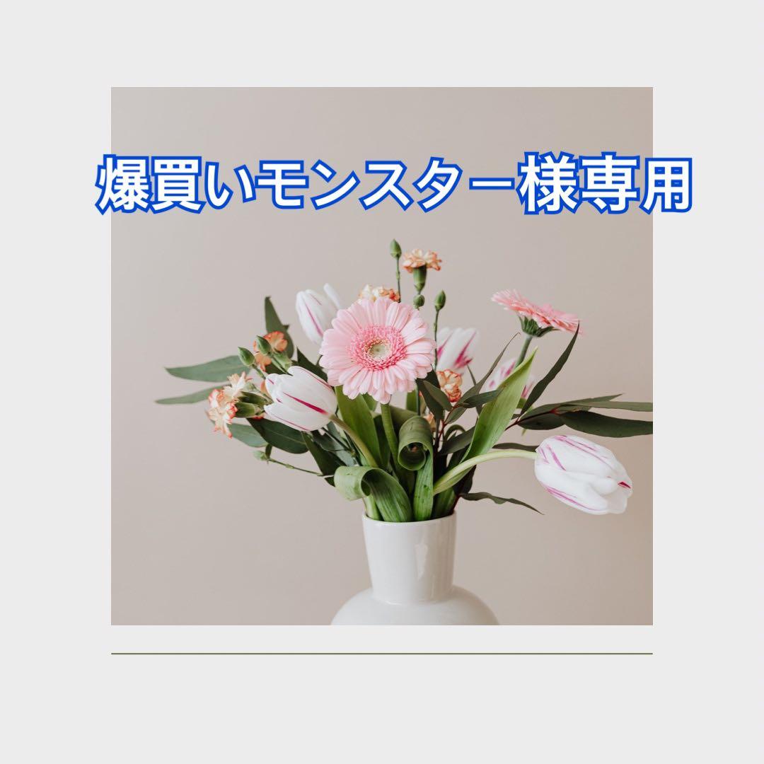 爆買いモンスター 0000000005402_aezsJoi.jpg