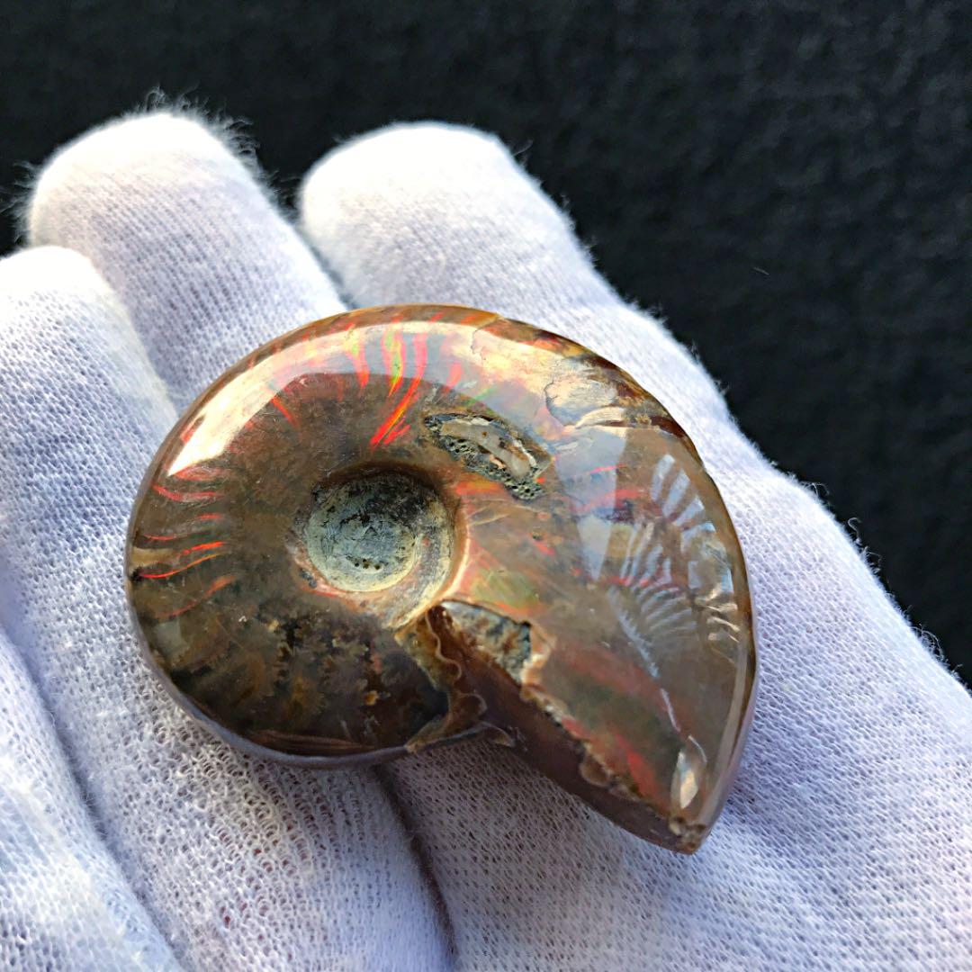 オパール化 アンモナイト化石 39g多彩な発色が特徴的な遊色