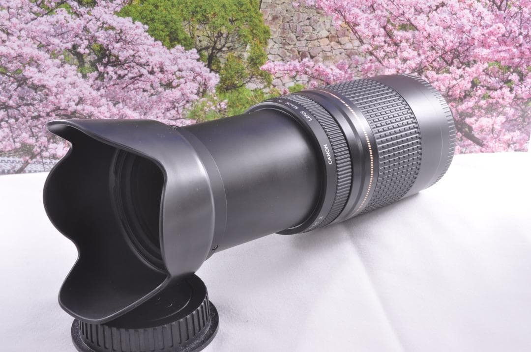 望遠はここから！ Canon キヤノン 望遠レンズ EF75-300mm #9