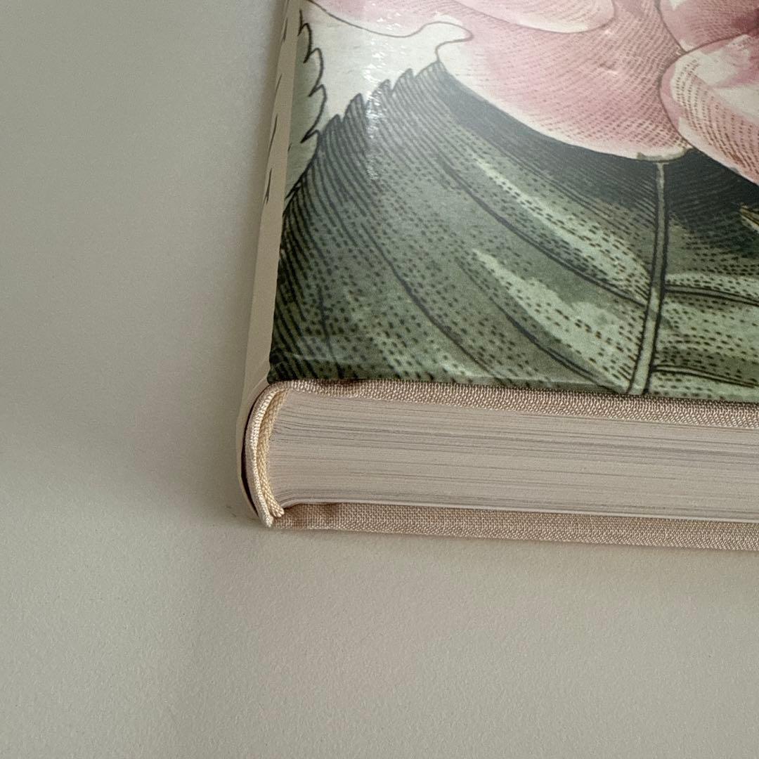 【最終お値下げ10/5本日までの特価です】ジョンデリアン ピクチャーブックII