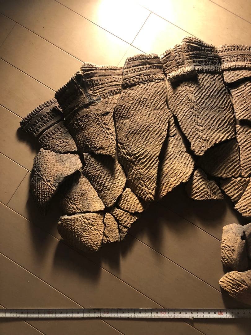 縄文土器の欠片 No.538」です。 - メルカリ