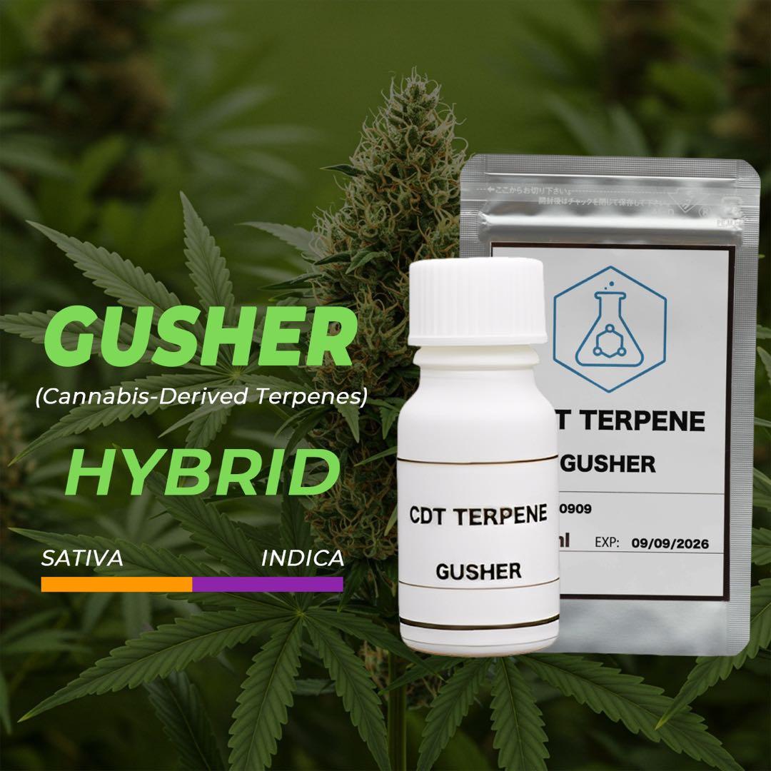 CDT Gusher (カンナビス由来テルペン) 2ml CDT（カンナビス由来テルペン）｜リキッド／電子タバコ用香料