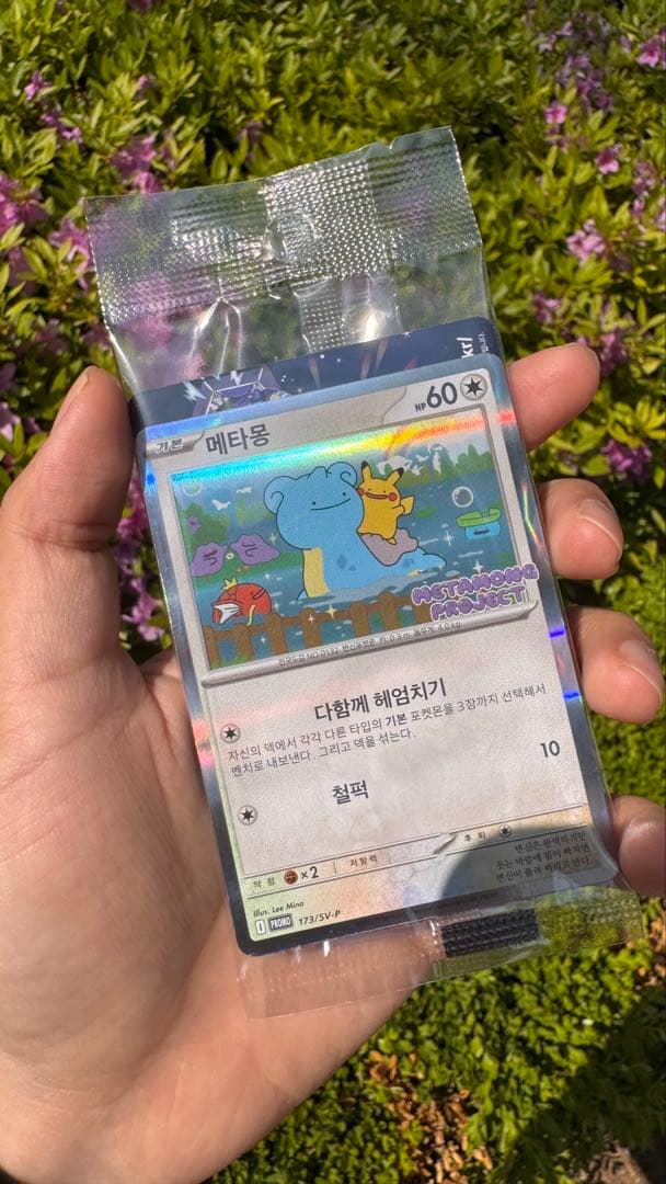 韓国限定】ポケモンタウン2025 メタモン プロモカード 新品未開封