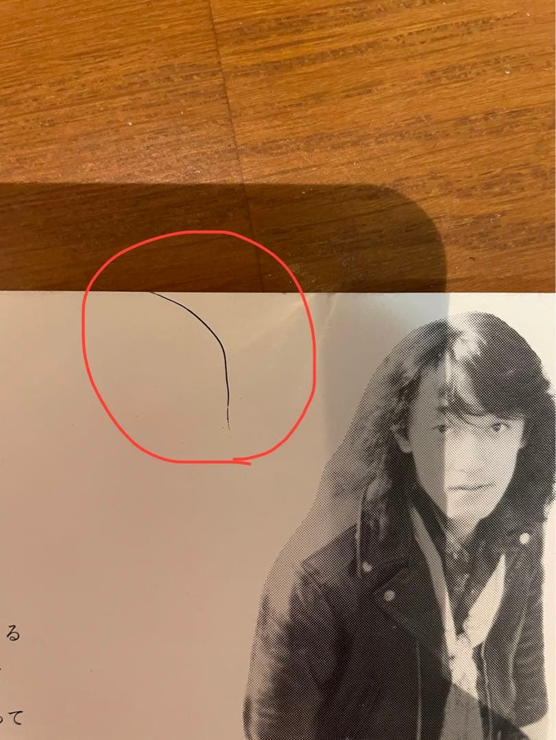 スピッツ】鳥になって UFOの見える丘 ソノシート レコード