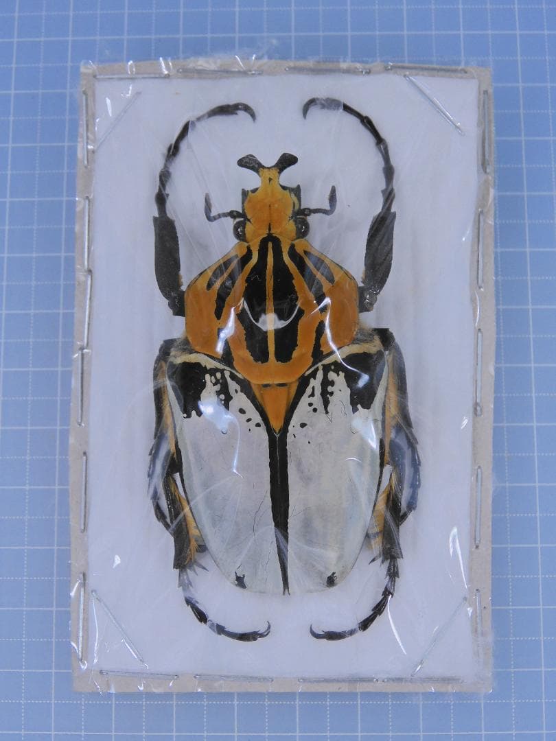 aaaamercar様 リクエスト 2点 まとめ商品 a様 リクエスト 2点 まとめ商品 - メルカリ