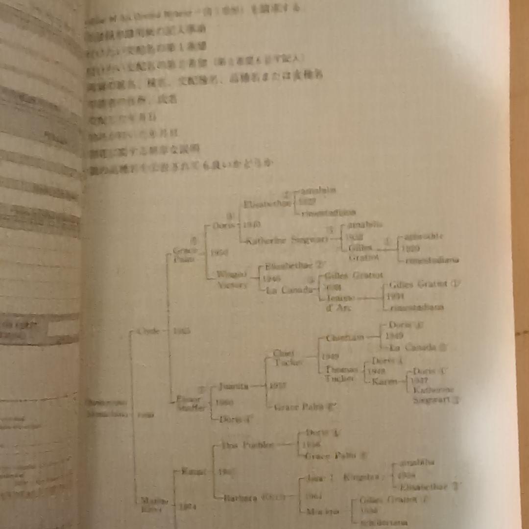 レア】ファレノプシス （花専科・育種と栽培） 市橋正一／編著