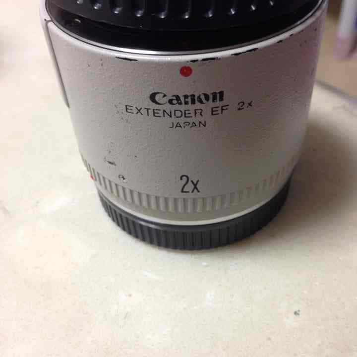 即購入OK CANON EXTENDER EF 2× Canon Extender EF 2x II Tele Extender, USA - Adorama