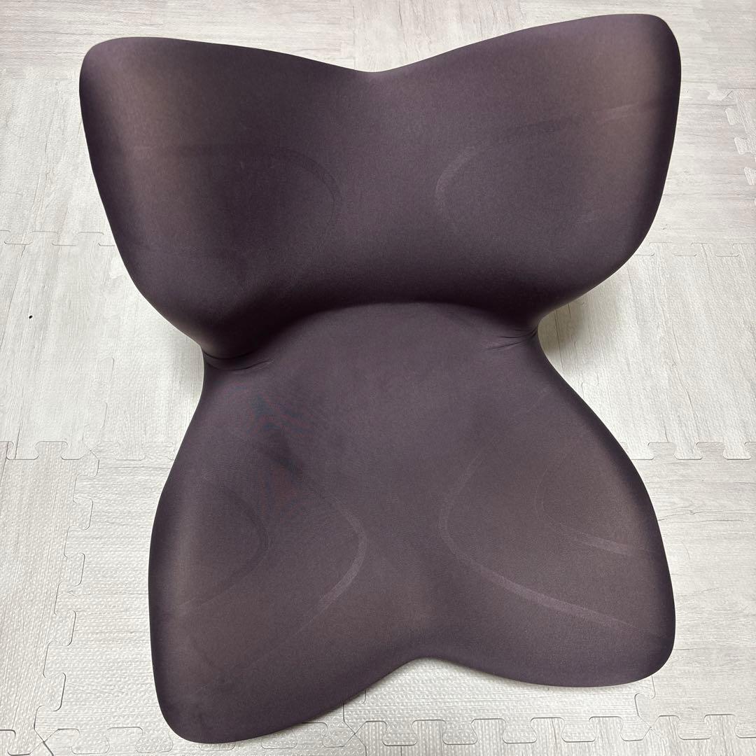 MTG（エムティージー）Style PREMIUM（スタイル プレミアム） Style（スタイル） ○ポイント10倍！○ MTG公式ストア 座椅子