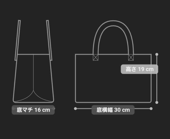 《完売》ひとりっぷ®️×LeSportsac　BIKE BOSTON2　オボロ