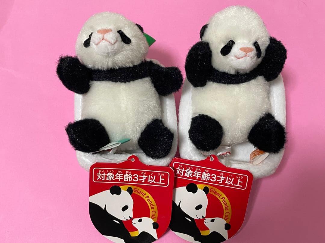 レア○上野動物園 シャオシャオ＊レイレイ 双子パンダ 体重測定