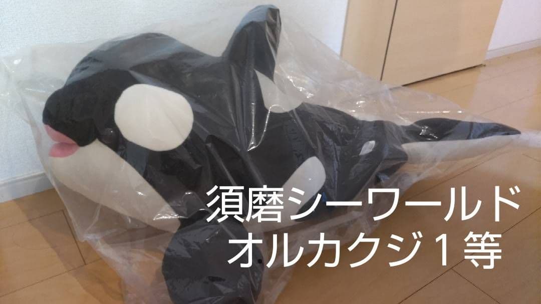 神戸須磨シーワールド オルカくじ 1等 シャチぬいぐるみ - メルカリ