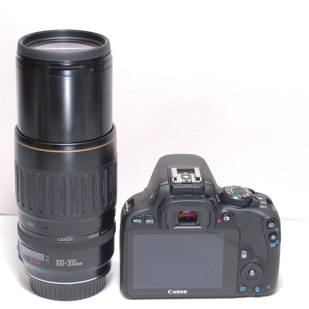 超望遠レンズデビュー✨CANON KISS X7✨シングルレンズ✨入卒業式にも