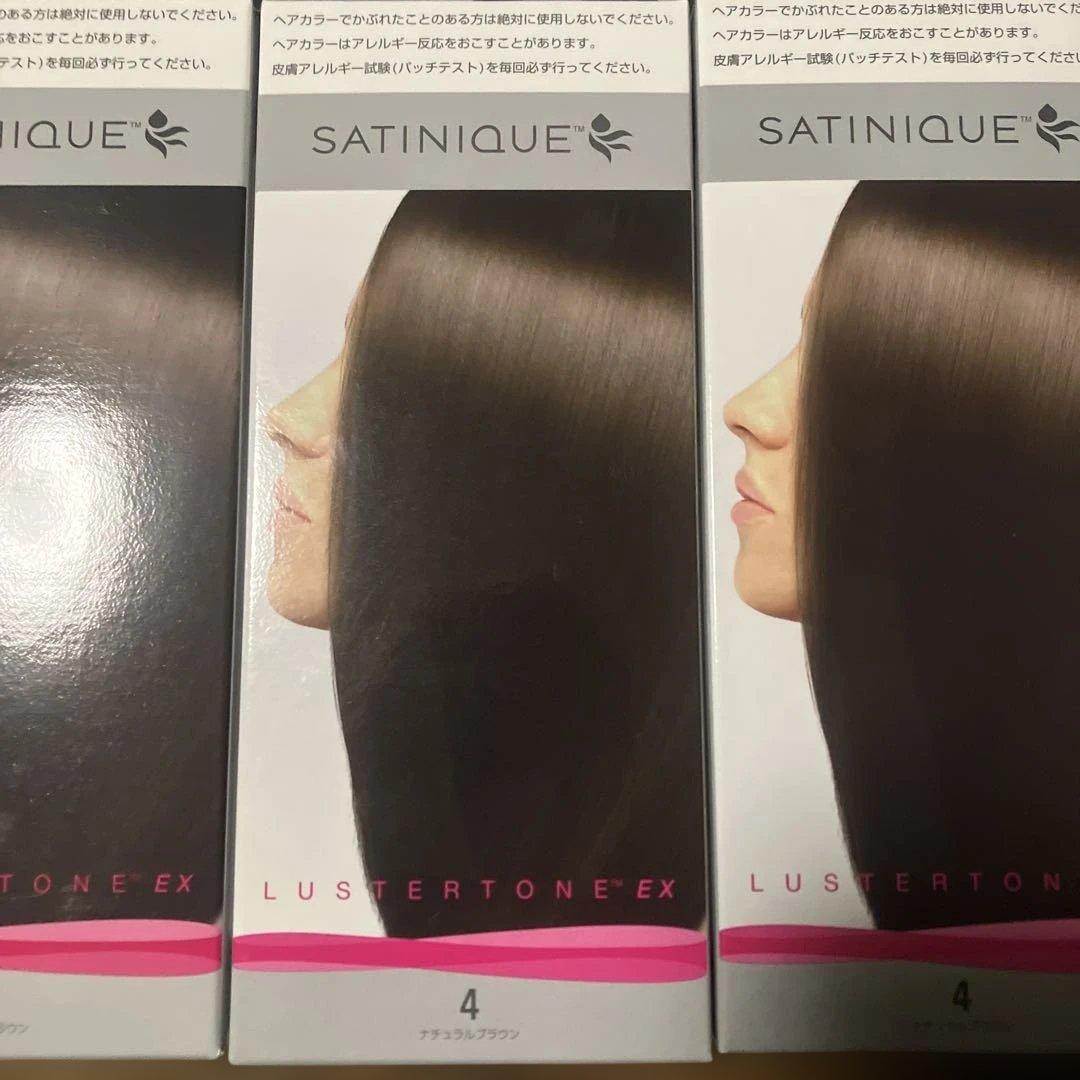 アムウェイ サテニーク ラスタートーン EX 4 ナチュラルブラウン 13個