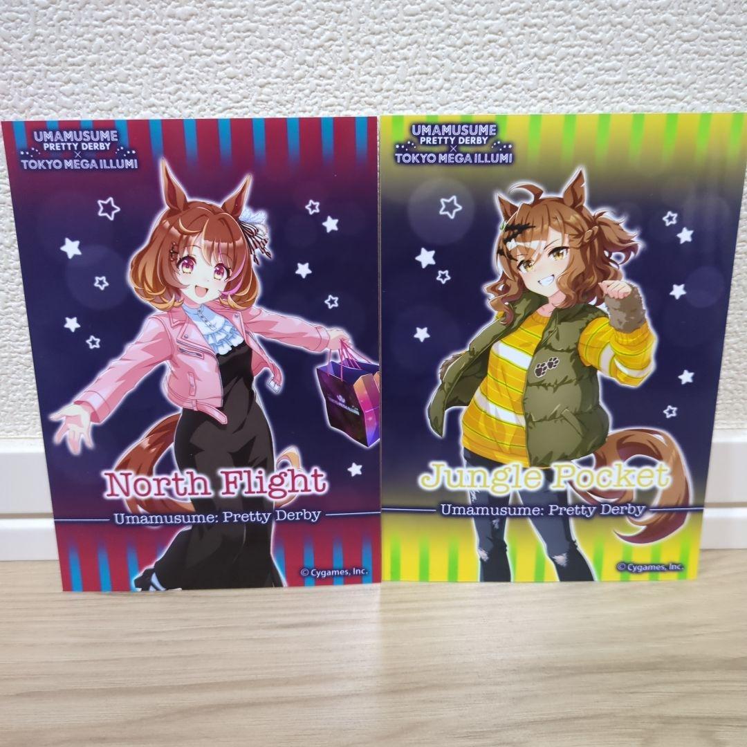 ウマ娘 ノースフライト ジャングルポケット 大井競馬場 メガイルミ