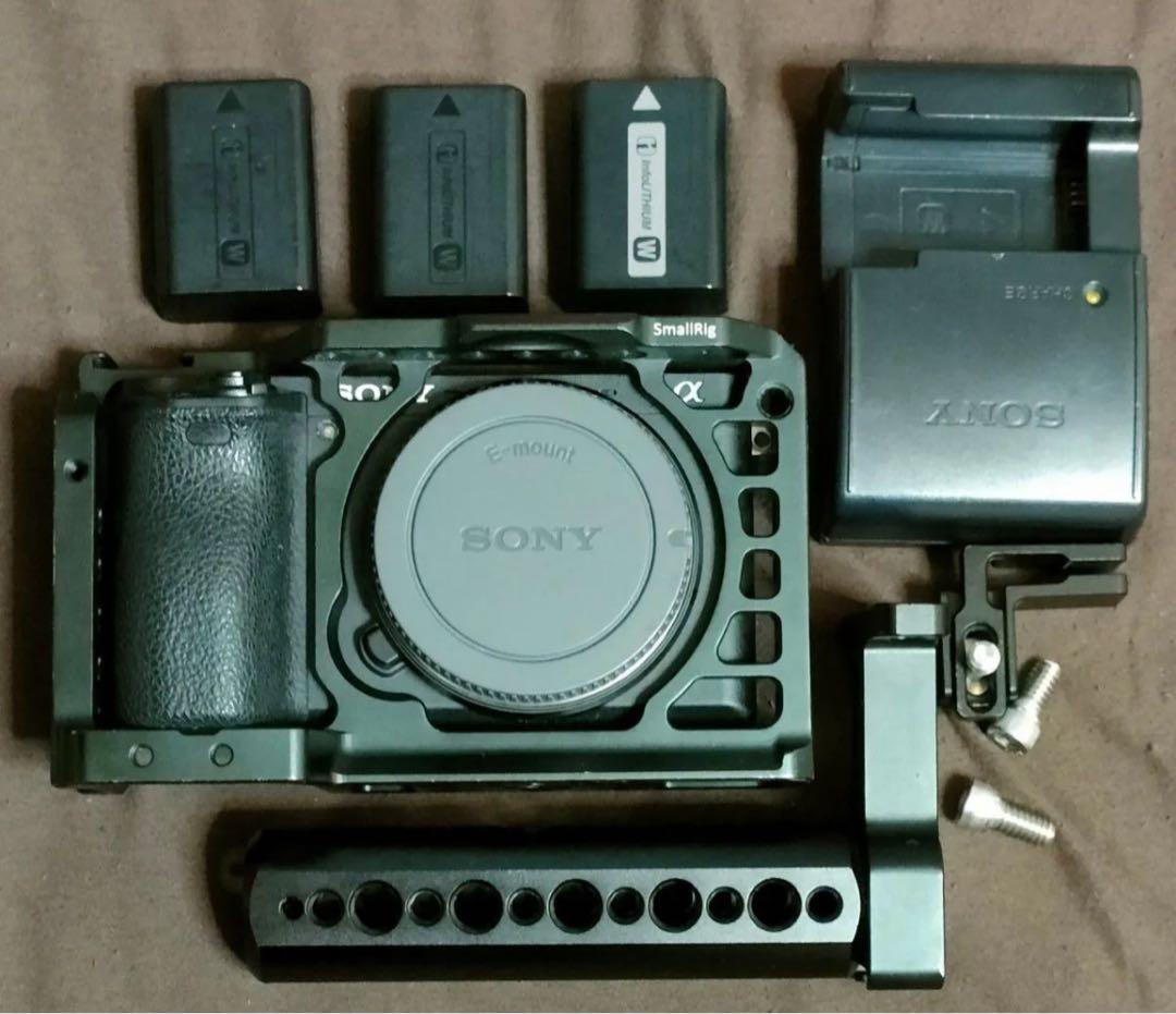 SONYα6500ボディ　ショット数7855枚　付属品多数 SONYα6500ボディ ショット数7855枚 付属品多数 Amazon | ソニー