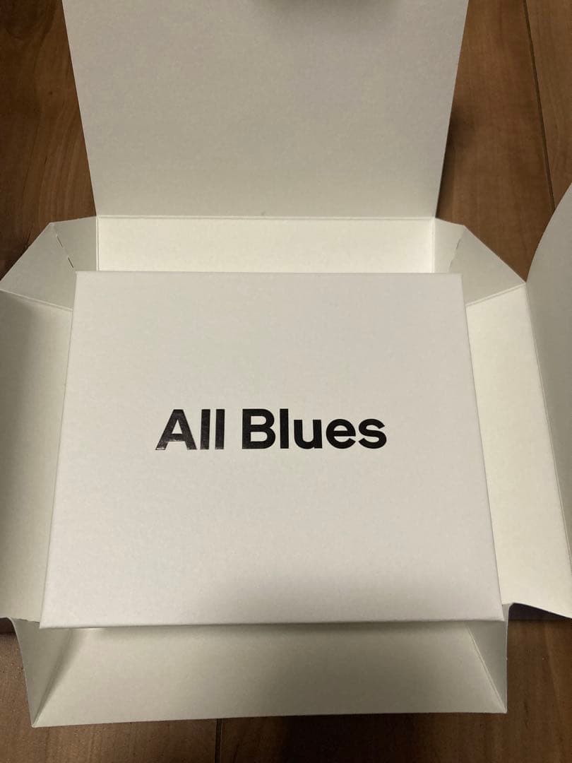 All Blues ピアスRound earrings extra small