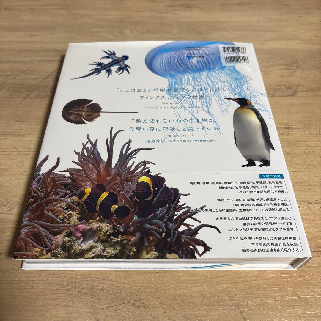 OCEAN LIFE 図鑑 海の生物 - メルカリ
