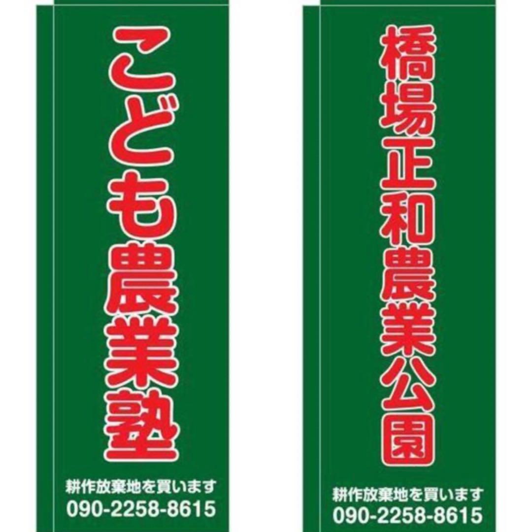 花乙女コレクション【中井智子　鏡の向こう】購入金額より60％お値引き！！