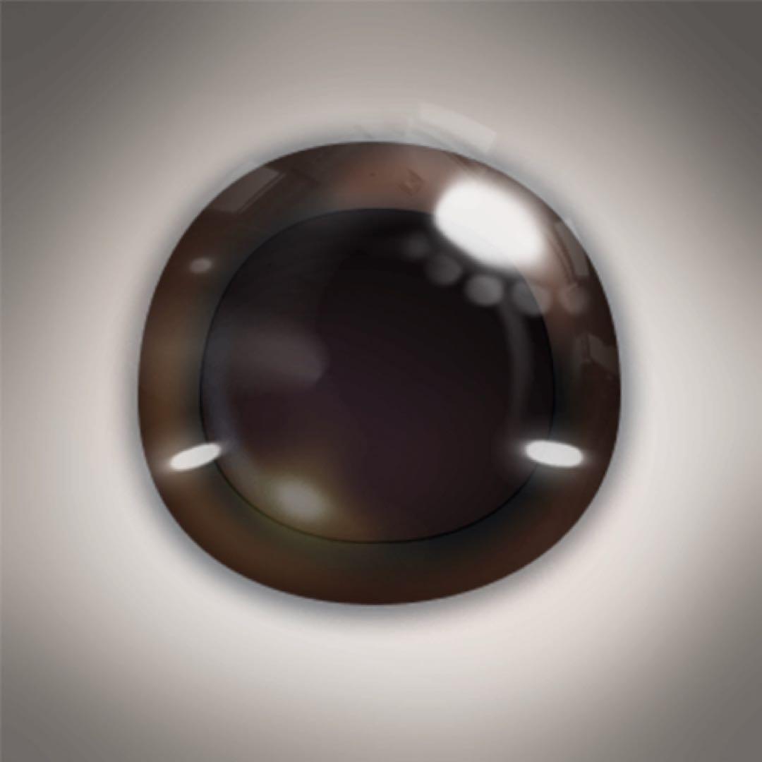 lopeto（ロペット）着せ替えパンダコート＋パンダ瞳 セット - メルカリ