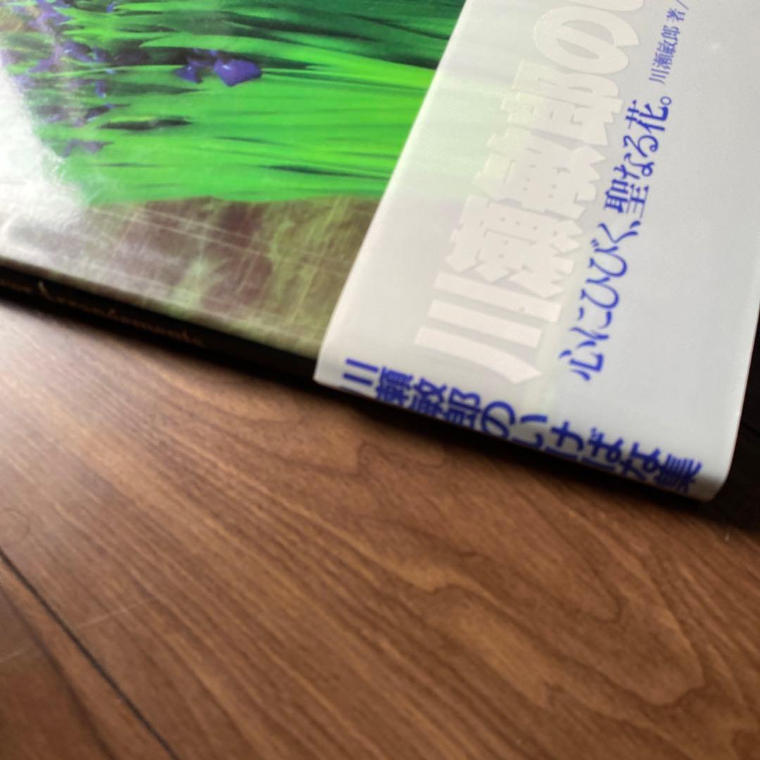 Inspired Flower Arrangements 川瀬敏郎のいけばな集 - メルカリ