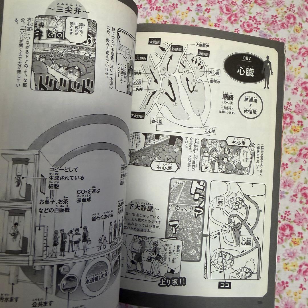 はたらく細胞 全巻セット はたらく細菌 アクリルキーホルダー 公式