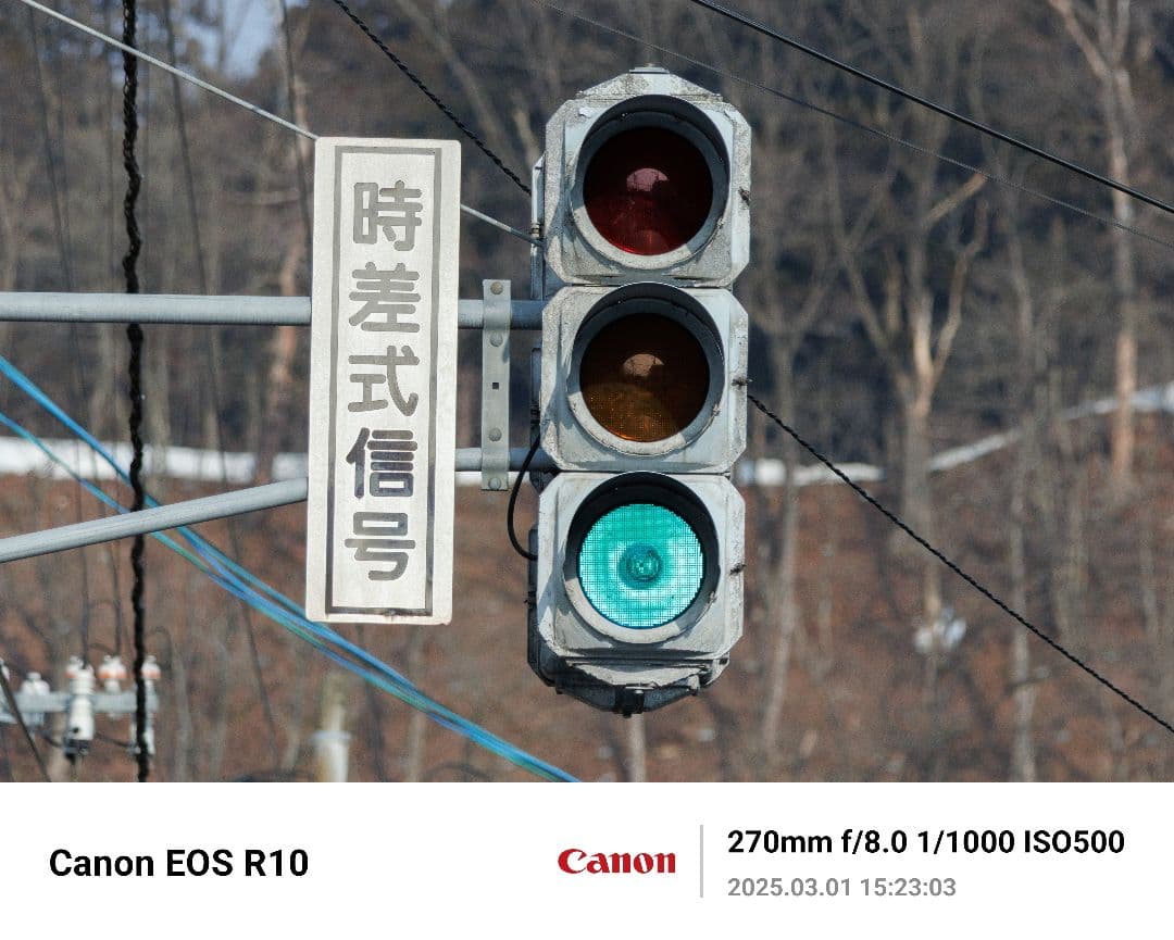 美品RF 100-400F5.6-8 IS USM+ F-Foto製三脚座リング