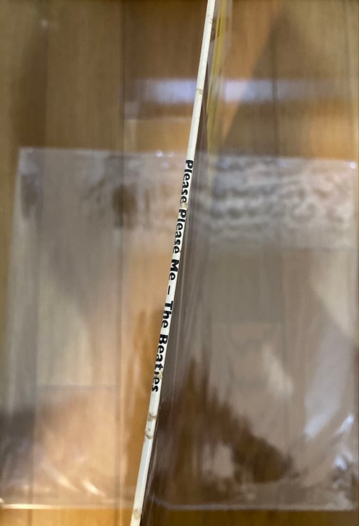 DK最初回GoldビートルズBeatlesレコードPleasePlease Me - メルカリ