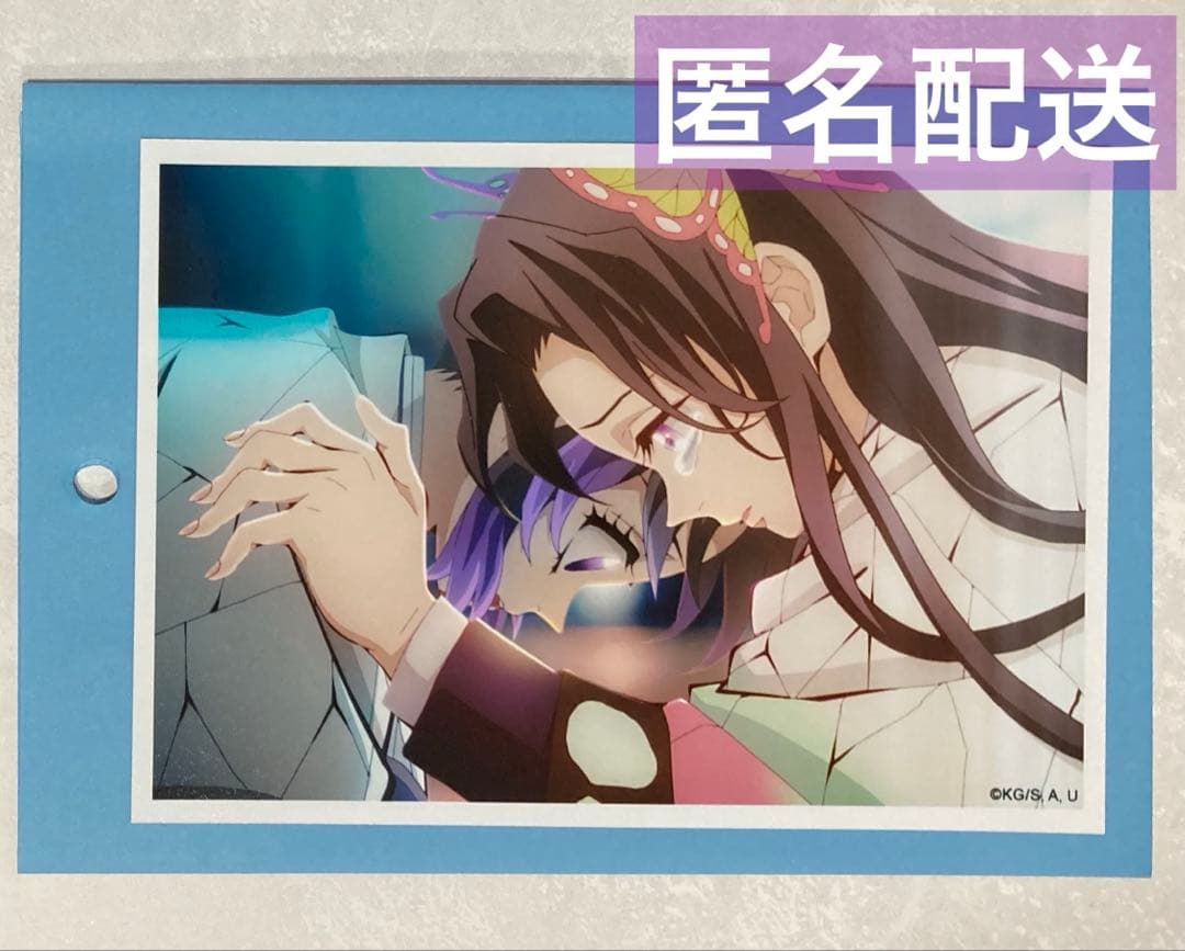 鬼滅の刃 胡蝶しのぶ 胡蝶カナエ 場面写 ブロマイドくじ 無限城編