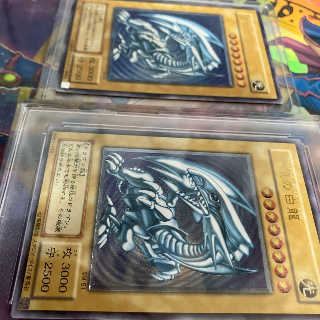 オカルトマニア様専用 レリブル 青艶 - メルカリ