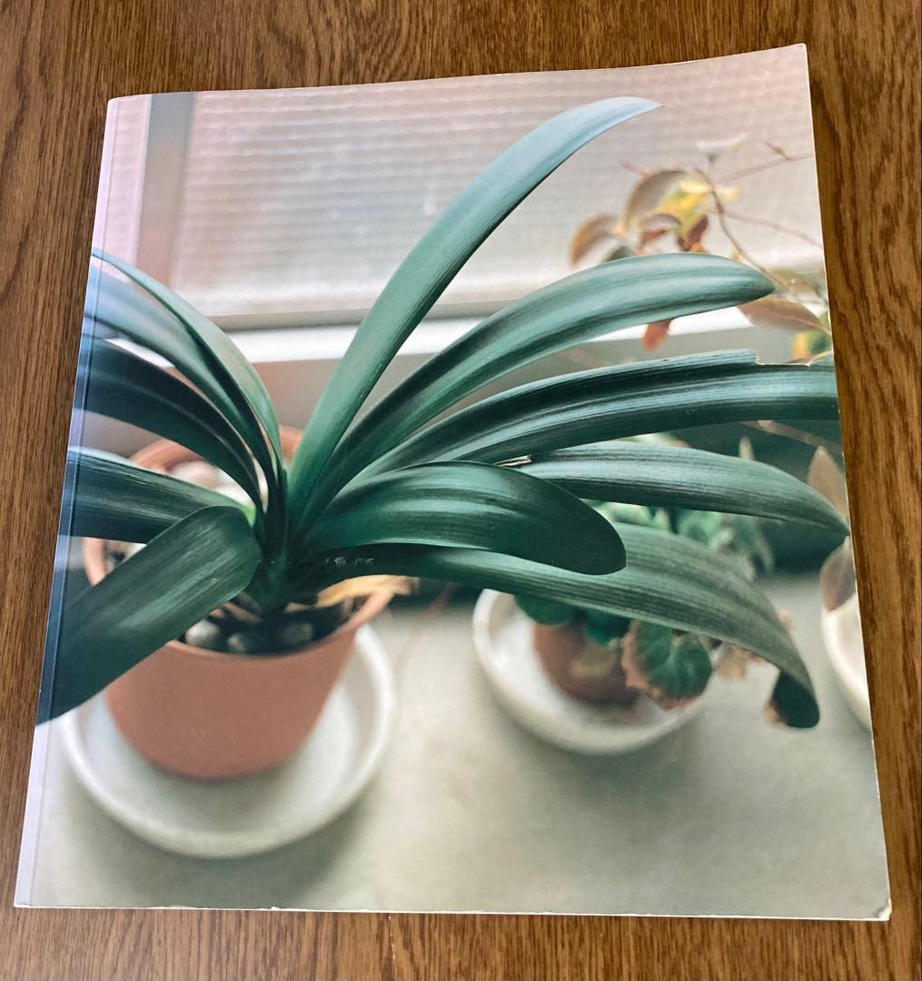 佐内正史 写真集 「生きている」 二版 佐内正史写真集 生きている ｜ 青幻舎 ｜ 写真集 | 古本・版画・骨董の