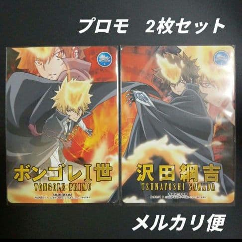 家庭教師ヒットマン　リボーンCCG　ボンゴレI世 沢田綱吉　2枚セット G.E.M.シリーズ 家庭教師ヒットマンREBORN！ 沢田綱吉＆雲雀恭弥