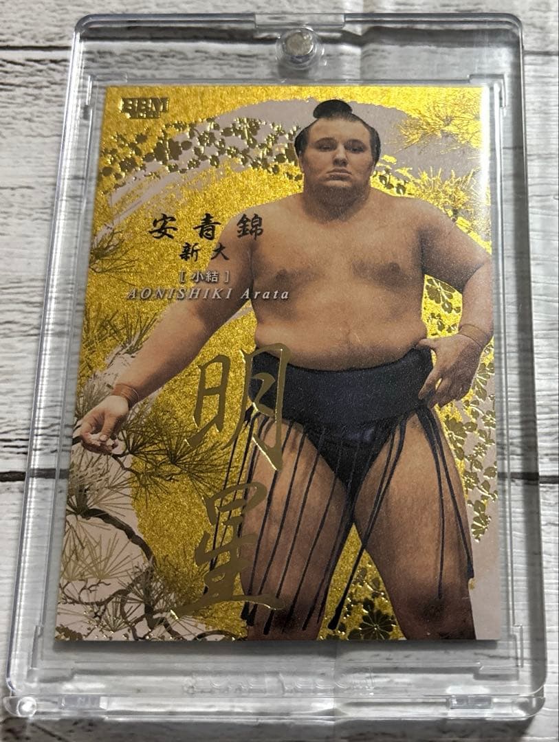 大相撲 BBM 2026 SUMO CARDSインサートカード明星 安青錦 優勝 - メルカリ