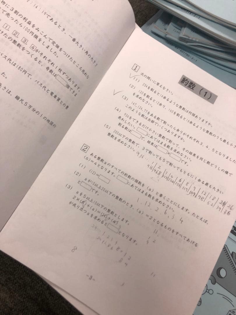 サピックス6年算数 開成対策 デイリー/春夏/日特/冬期/正月他 2025年