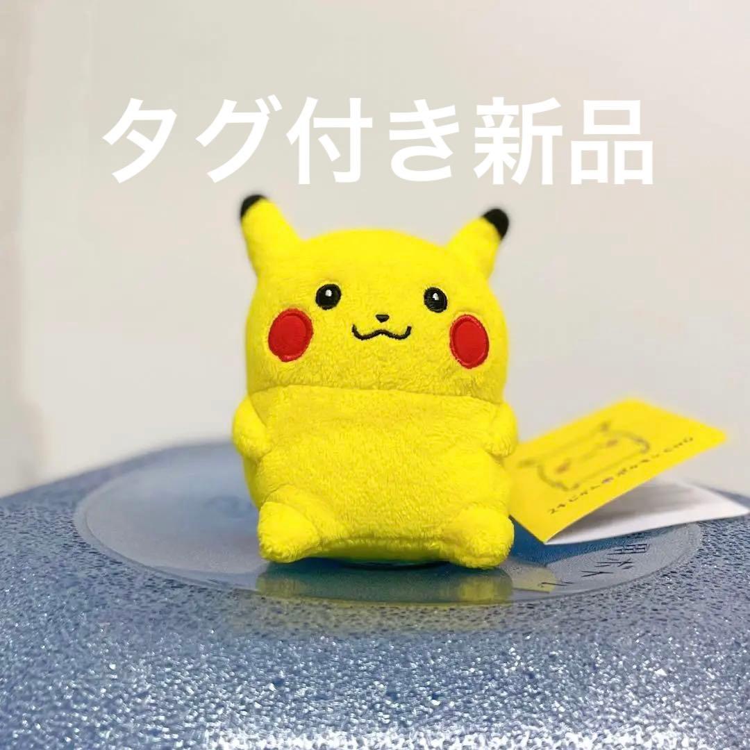 24じかんポケモンCHU ナガノ ピカチュウ マスコット - メルカリ