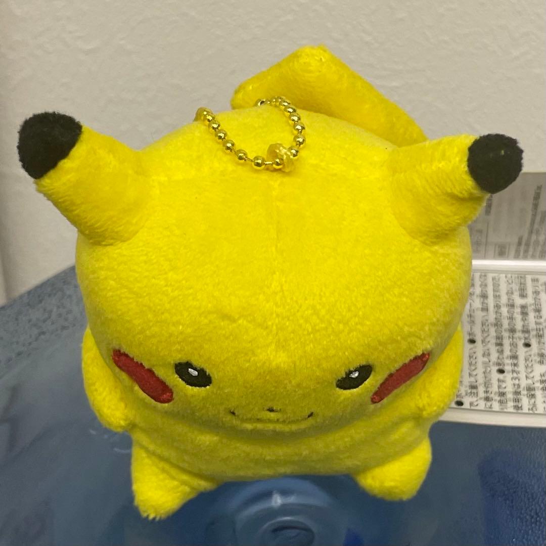 24じかんポケモンCHU ナガノ ピカチュウ マスコット - メルカリ