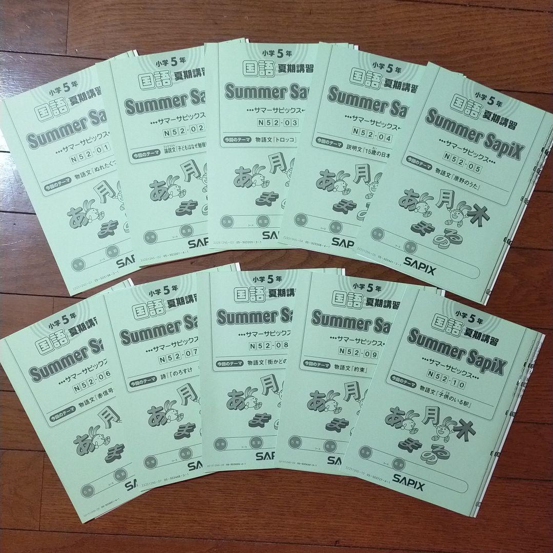 【最新版】サピックス 小学5年 国語 夏期講習テキスト全冊 解答解説付 2024年度】サピックス 5年 夏期講習 算数 国語 理科 社会