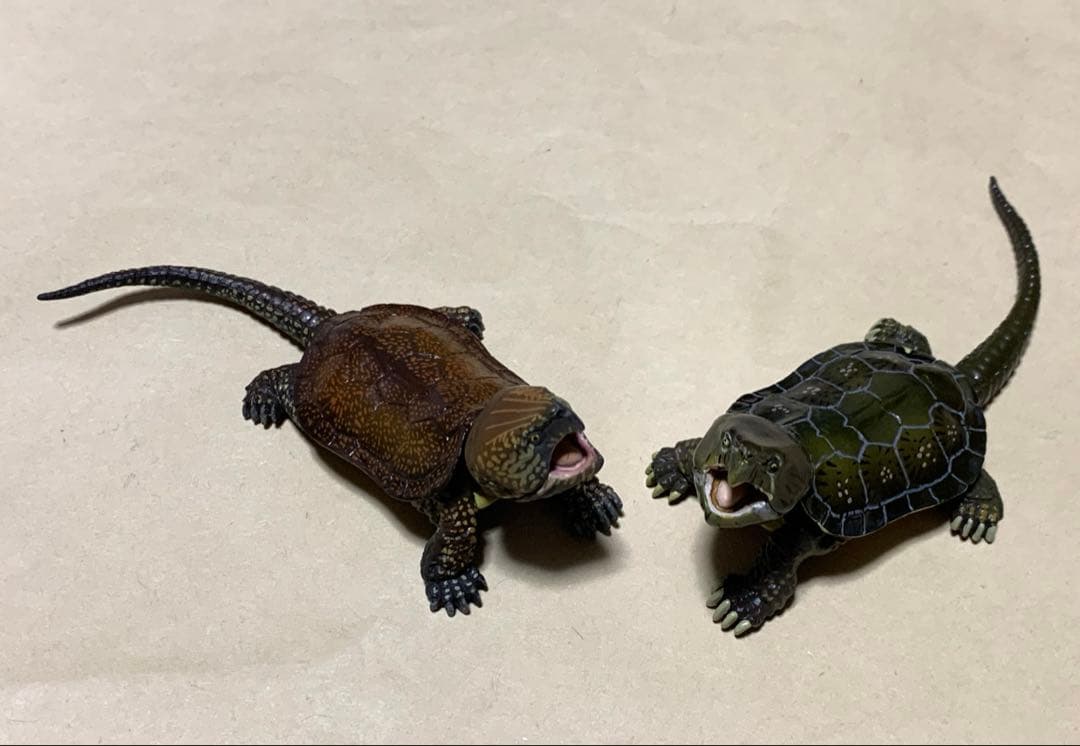 海洋堂　チョコQ シークレット　オオアタマガメ　2種セット　フィギュア 2026年最新】オオアタマガメの人気アイテム - メルカリ