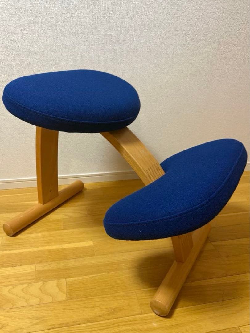 Rybo社 リボ社　［専用カバー付]　バランスチェア イージー バランスラボ バランスチェア バランスチェアー バランスイージー