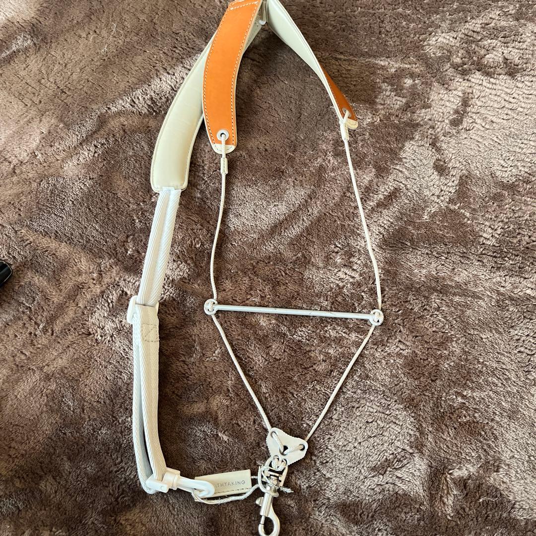 限定販売品】ヤクルト 山田哲人 2021日本一記念メタルピクチャー