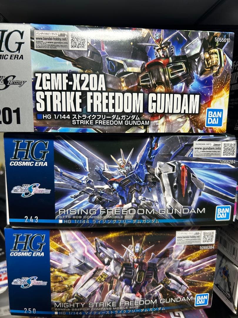 HG ストライクフリーダムガンダム セット HGガンプラ「ストライクフリーダムガンダム弐式＆光の翼エフェクト