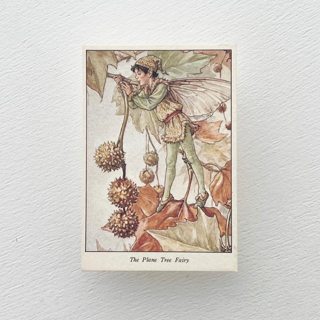 森永 ハイクラウン チョコレート ❤️ フラワー フェアリー カード #56