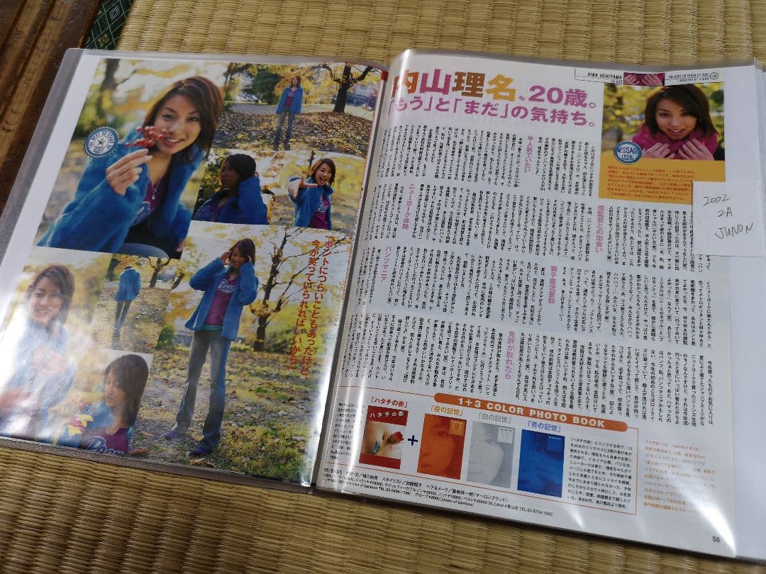 内山理名(1冊200円計算)144冊分約250ページ 切り抜きしファイリング