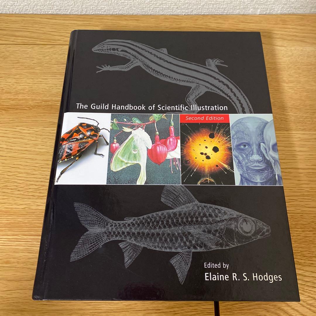 ◇琳派百華譜／竹下金鳥・編集作画◇古書