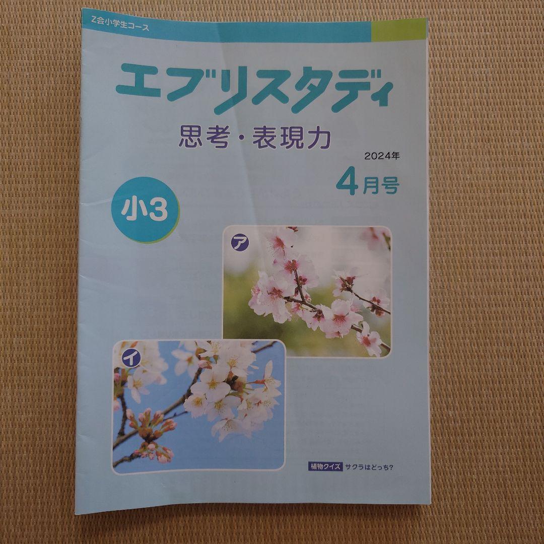 Z会 エブリスタディ 思考・表現力 小3 2024年4月号～2025年3月号